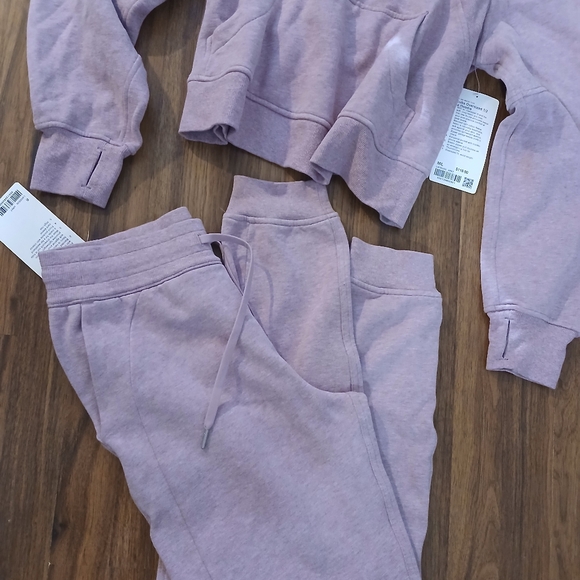 Scuba Lululemon Pink  Hoodie and Joggers Set - Picture 4 of 15